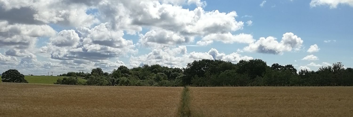 Davina Rowe banner