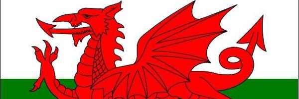 pikedyer Profile Banner