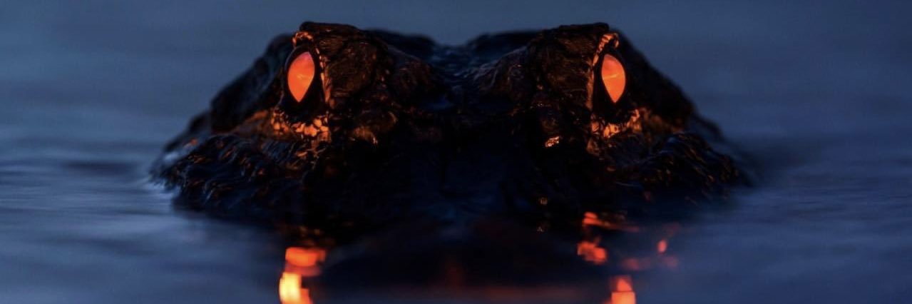 SwampPuppy__'s profile banner image