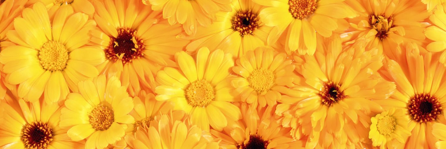 SKumar_03's profile banner image