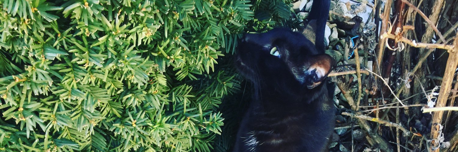 42lo42's profile banner image