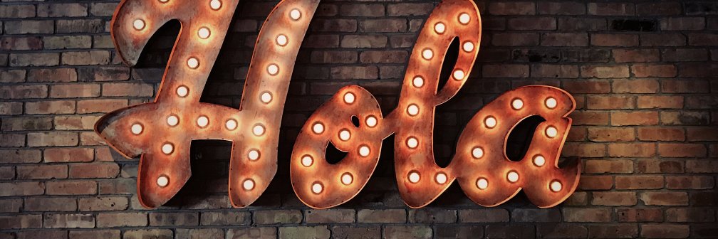 Fabiola Stein banner