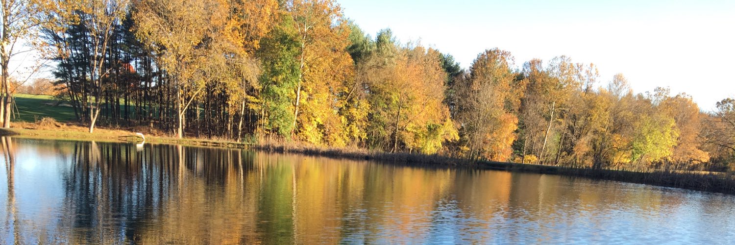 murphballgolf's profile banner image