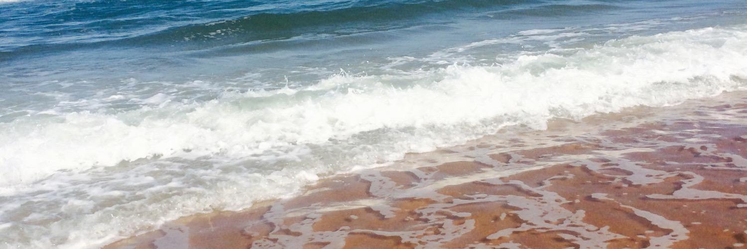mailirose95's profile banner image