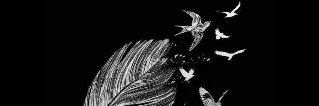 BircanAltan's profile banner image