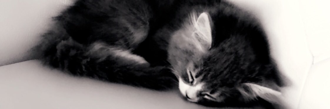 areej_tweet's profile banner image