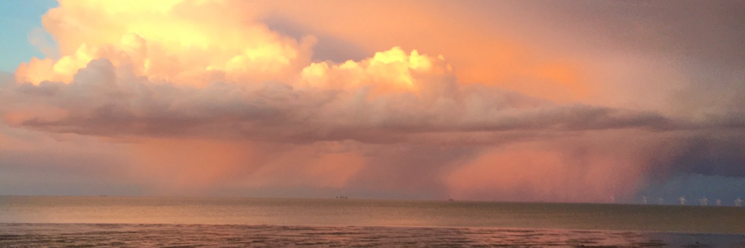 Rose St Curiosities banner