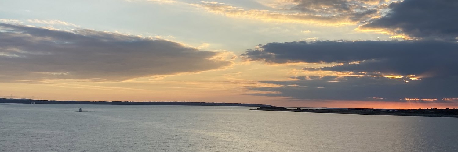 Alice__bird's profile banner image