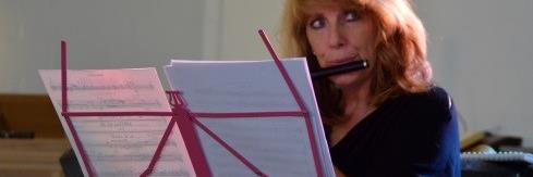 DivaDwarsfluit's profile banner image