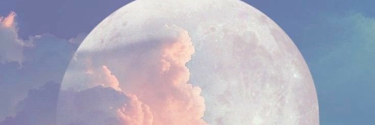 tadii__'s profile banner image