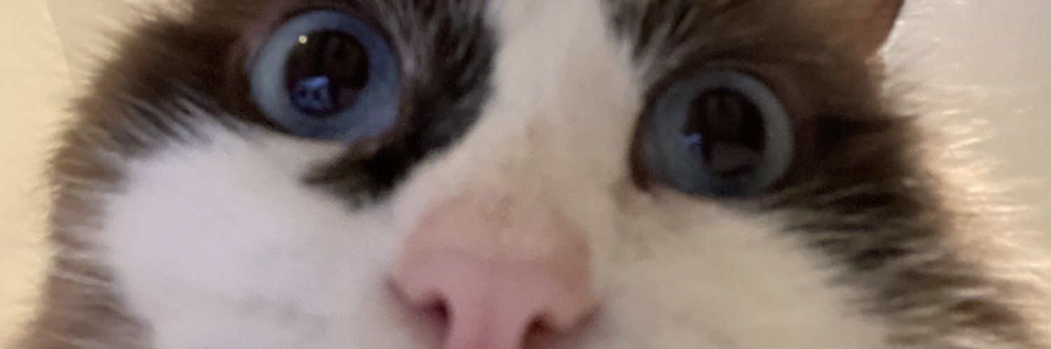 Hannah_Joycee's profile banner image
