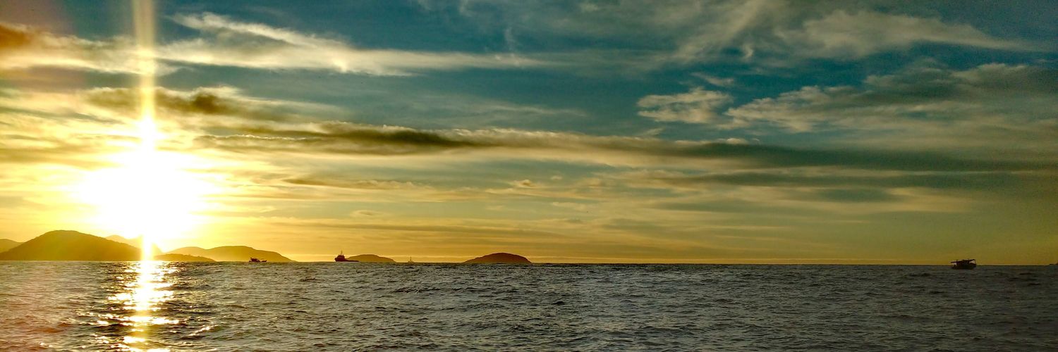 RGOULART75's profile banner image
