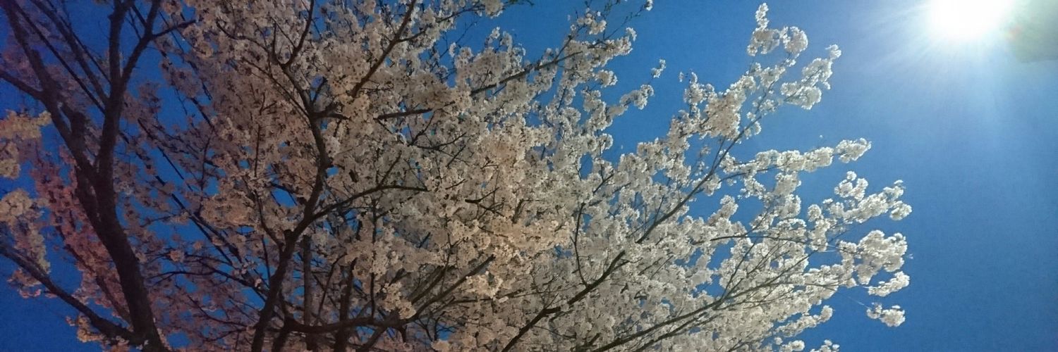 meruto858632's profile banner image