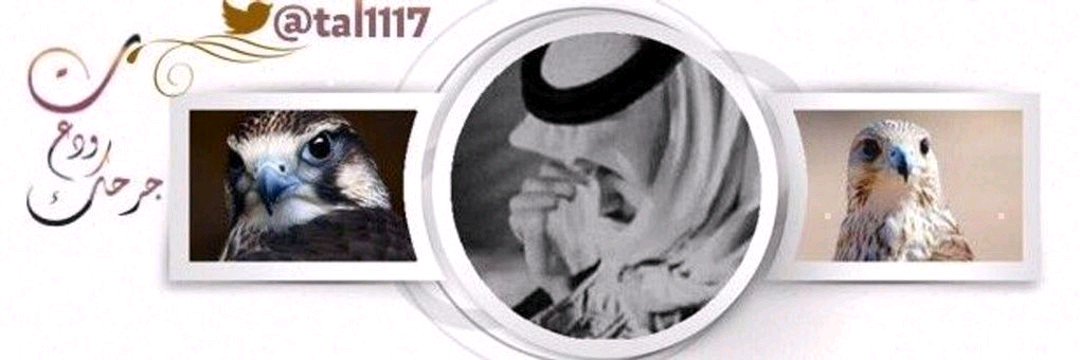 tal1117's profile banner image