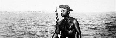 Michael J. Fell banner