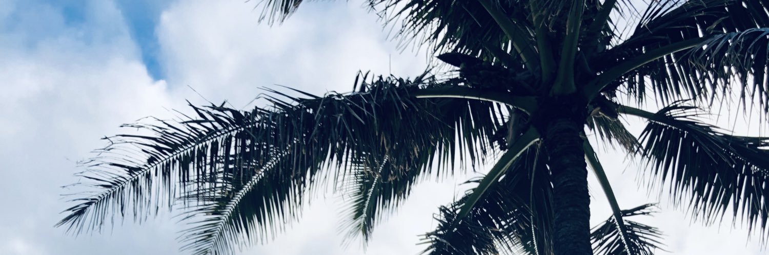 SabrinaBrost's profile banner image