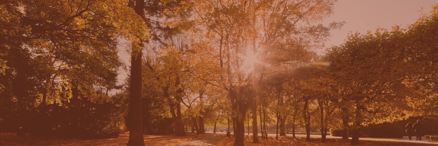 panoramic_WM's profile banner image