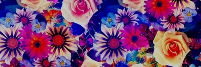_ashley_rae's profile banner image