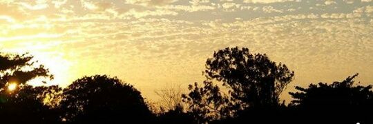 maujoven's profile banner image