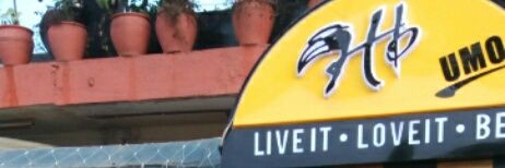 Hb Pub Umo banner