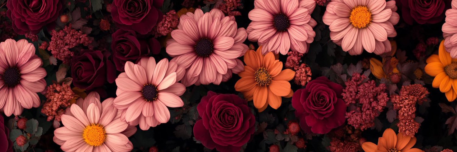 _EShmurdaa's profile banner image