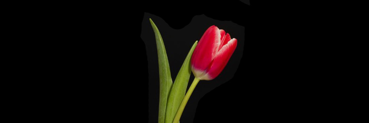 ppri_h's profile banner image
