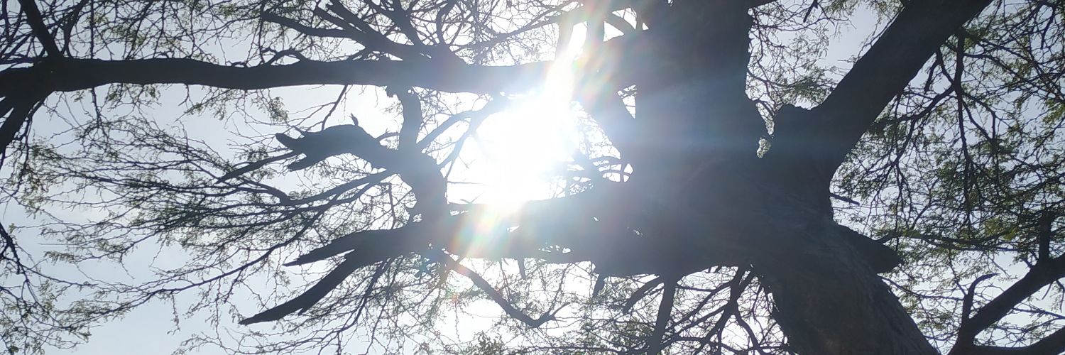 AngelconDatos's profile banner image