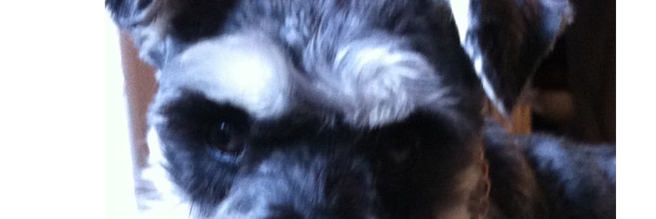 Eddie_Fiola's profile banner image