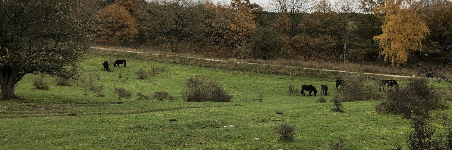 n_philipsen's profile banner image