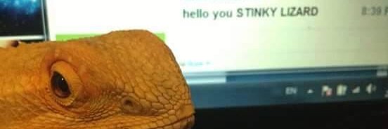 CabbagesGT's profile banner image