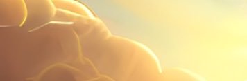 SaifCeze's profile banner image