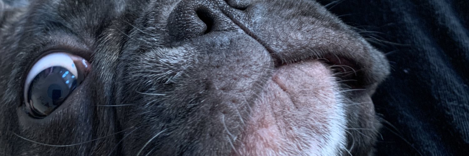 _DaveAdams's profile banner image