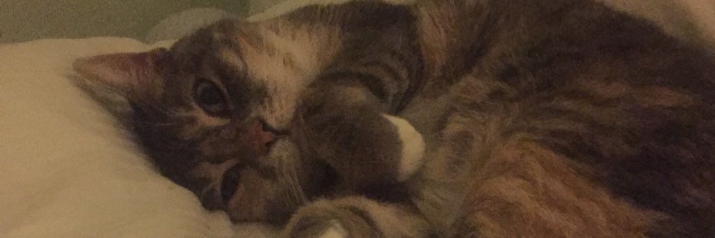 annabakeoff's profile banner image