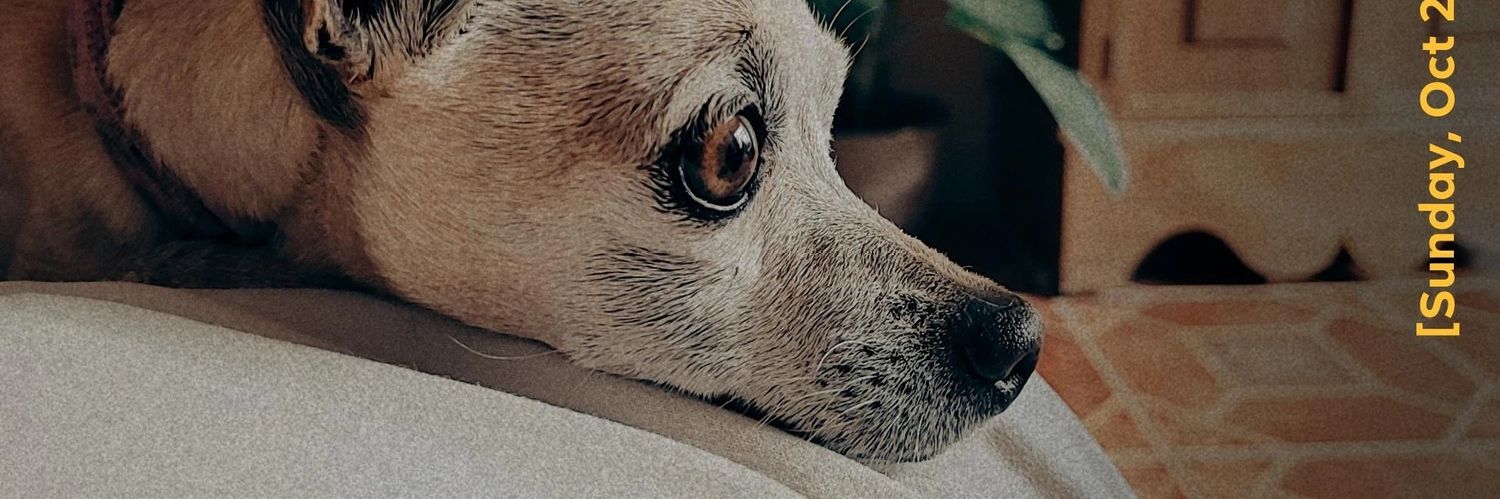 Sam__tg97's profile banner image