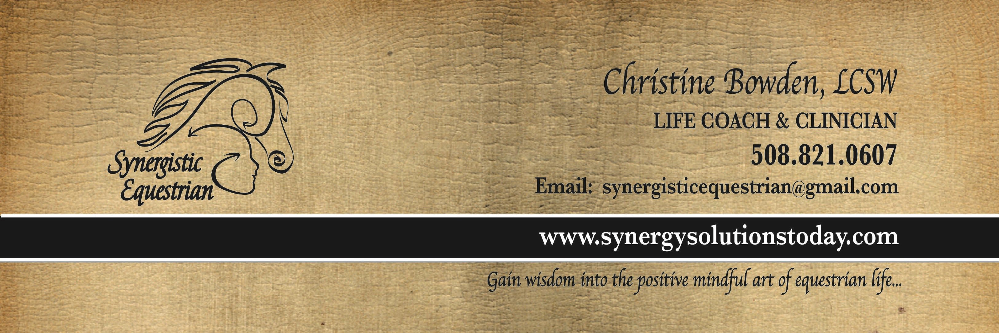 Synergyequus's profile banner image