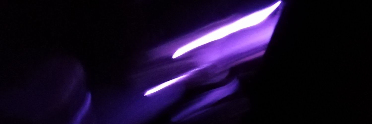 esnupi todo vergueado banner
