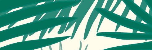 Ms. Medrano 💖🤙🏽 banner