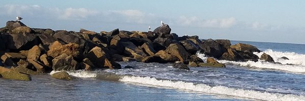 CAsunshinegal Profile Banner