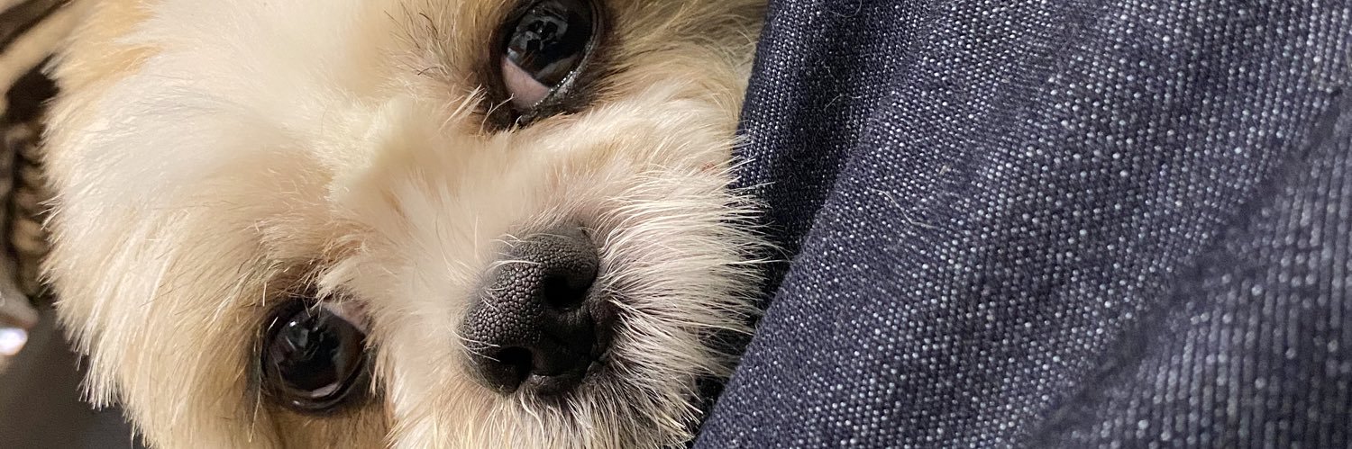 c_the_creator's profile banner image