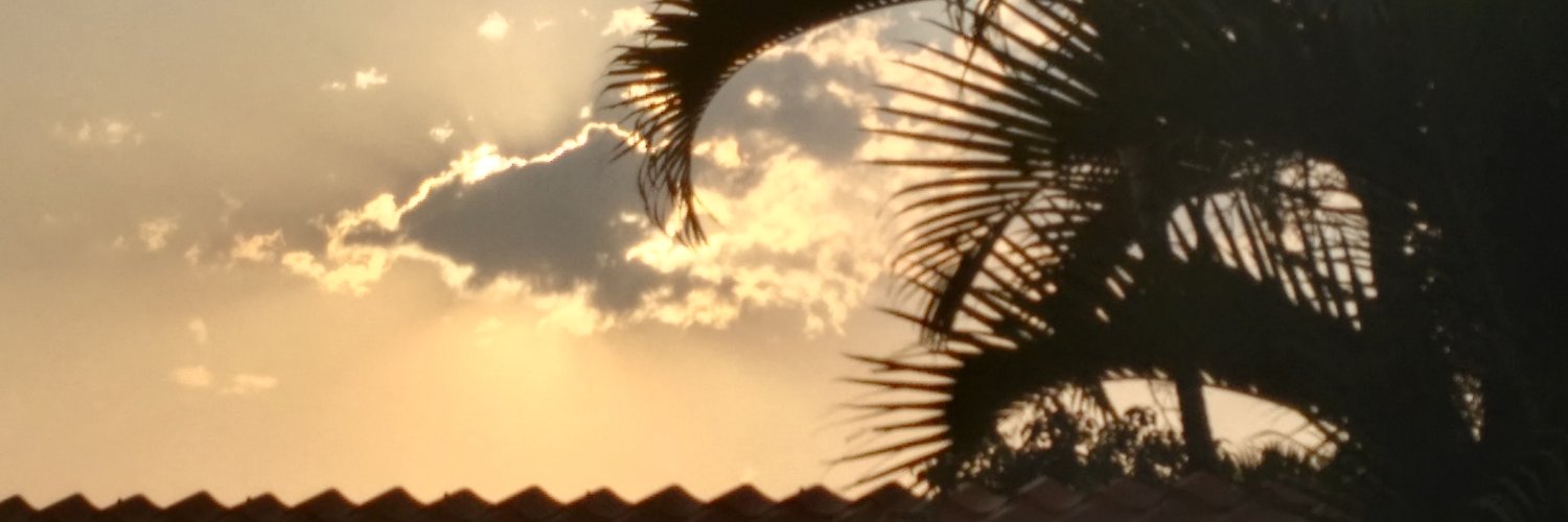 MaFeerdePaz's profile banner image