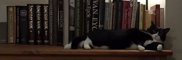 vicki_pope Profile Banner