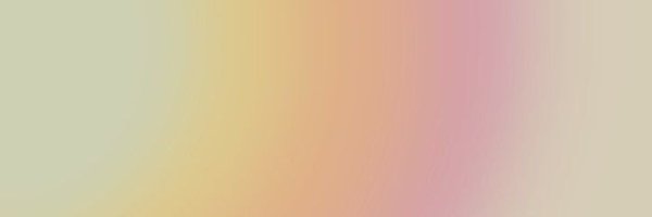 nicoleespinalp Profile Banner