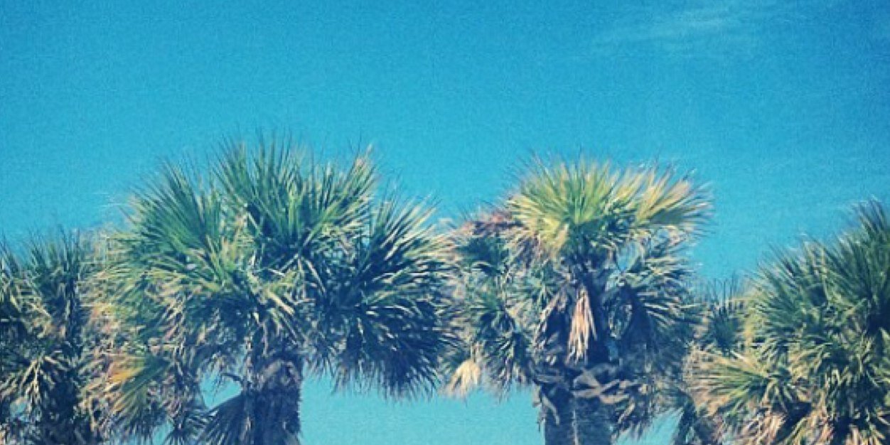 _ccbb_'s profile banner image