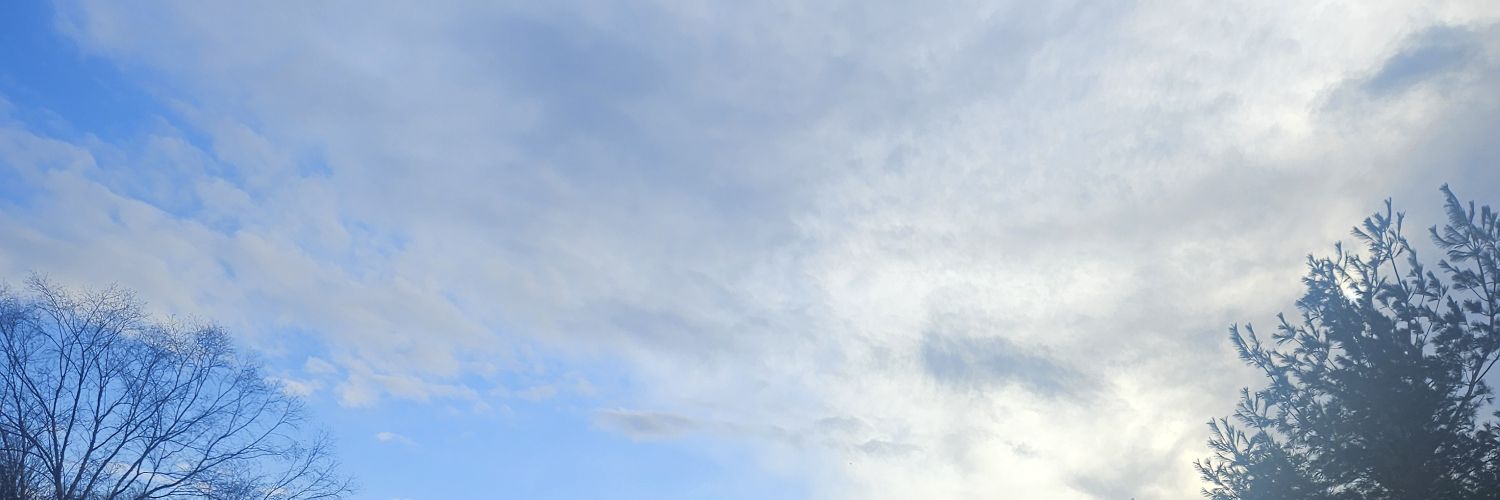 Karen P. banner
