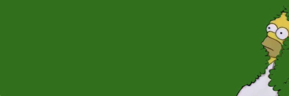 FullyFlaredFred's profile banner image