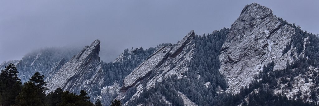 Blake Widlund banner