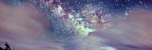 arshinskaya_'s profile banner image