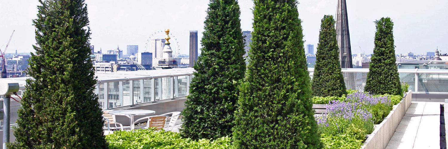 QSLandscaping's profile banner image