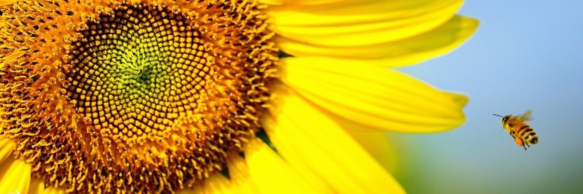 nicole_dur's profile banner image