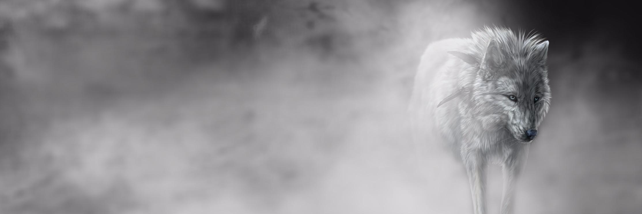 WhoNeedsLuck_'s profile banner image